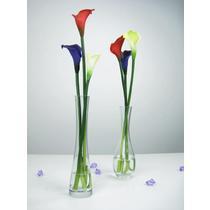 欣唯嘉植物花卉 品牌信息與價(jià)格指南